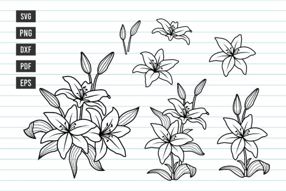 Lily SVG: Bundle Lily Flowers SVG Design
